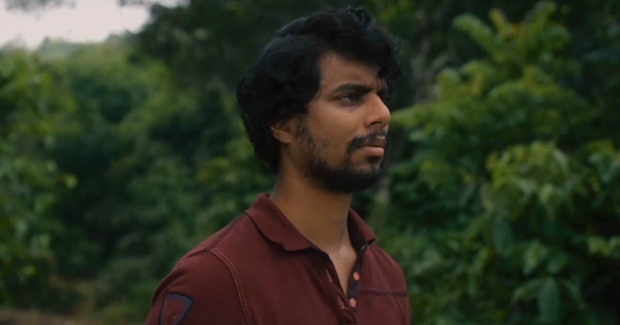 <p><strong>Eko (Netflix, December 31)&nbsp;</strong></p>
<p>Set in the misty hills of Kerala, the story follows a young man in a remote village who notices reality-blurring patterns while searching for a missing man. It explores the relationship between humans and animals (specifically dogs)</p>